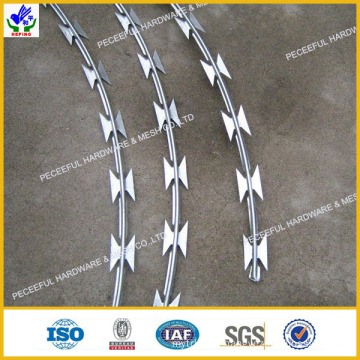 High Quaility Barbed Wire (HPBW-0527)